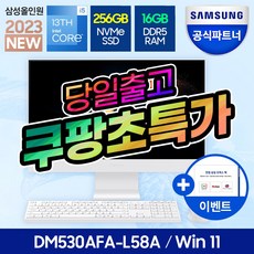 [23년 5월 출시]삼성전자 삼성 DM530AFA-L58A 일체형PC 올인원PC 사무용 컴퓨터 데스크탑 (13세대 i5/RAM16GB/NVMe 256GB/Win11), RAM16GB