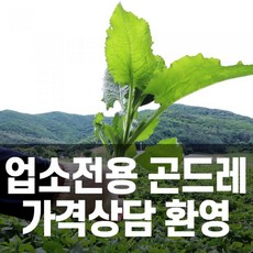 업소용 강원도 정선 곤드레 나물(냉동곤드레 3kg * 6팩 5kg* 3팩), 냉동곤드래3kgx6팩(1박스)