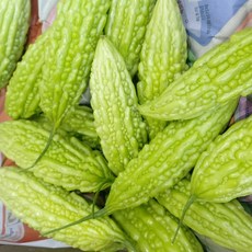 국내산 햇 생여주 1kg, 1개