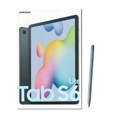 삼성전자 갤럭시탭S6 10.4 Lite SM-P610 WiFi 64GB, 옥스퍼드그레이