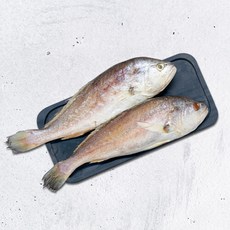 냉동 조미 침조기(제수용) 2마리(마리당 400~500g), 2개
