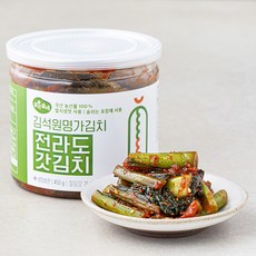 맑은물에 김석원 명가김치 전라도 갓김치, 450g, 1개