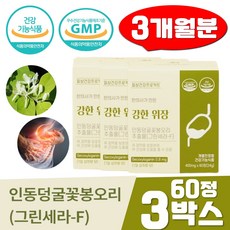 인동덩굴 꽃봉오리 그린세라F 60정 3박스 강한 위장 브로멜라인 위건강 양배추 분말 추출물 그린세라에프