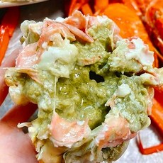 100% 선주직송 프리미엄 박달홍게 강원도 속초 홍게 자숙홍게 저도 어장 발송, 3.5kg(8~12마리), 1박스