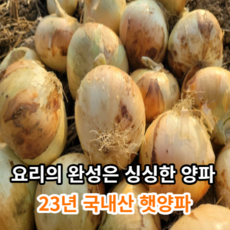[23년햇양파] 마미템 국내산 무안 햇양파 3kg 5kg, 5kg 장아찌용, 1개