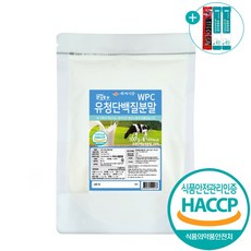 대용량 유청단백질 프로틴 파우더 보충제, 1팩, 500g