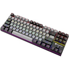 넥스원 XUNFOX 87키 LED 게이밍 유선 기계식 키보드 청축, 그레이블랙, 텐키리스, K80