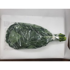 [특급] 녹즙케일 (400~450g) 국내산