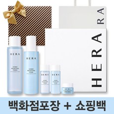 헤라 아쿠아볼릭 신형 하이드로 리플렉팅 2종 세트 선물포장 쇼핑백 포함, 헤라 리플렉팅 2종 (샘플세트+포장+쇼핑백)