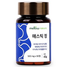 멜로우네이쳐 매스틱 정, 1개, 90정