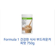 허벌라이프 단백질 쉐이크 커피맛 750g X 1개