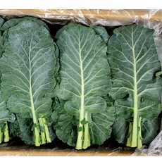 야채왕 케일 중량별 200g 500g 2kg 1박스 ( 실중량 1.8k - 2.0k ), 1개