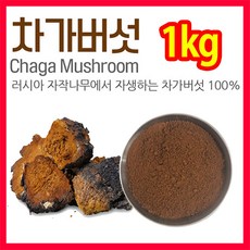 The큰나무 시베리안 차가버섯 분말 가루 차 500g~, 2팩, 500g