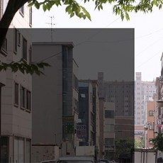 포커스더블유 자외선차단 99% 국산 썬팅지 17종, BK15