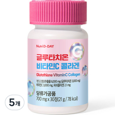 뉴트리디데이 글루타치온 비타민C 콜라겐 21g, 5개