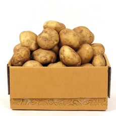 [농부마음] 맛있는 23년 햇 감자, 5kg(중/소/통구이용), 1박스
