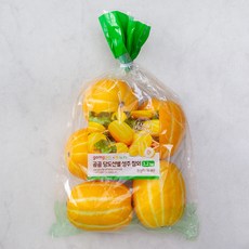 곰곰x농협 당도선별 성주 참외, 1.2kg, 1개