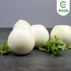 온도씨 가락시장 깐양파 3개(약1kg)