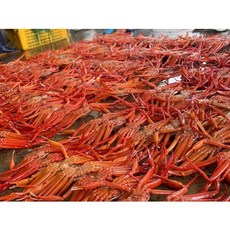 홍게 소자 10미(3kg) 중자 8미(2.4kg), 소자 3kg(10미)