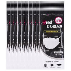 해호 굿데이방역 황사마스크 KF80(대형) 흰색 100개, 단품, 단품