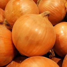 자이언트 양파 특 대 3kg 5kg 10kg, 1개