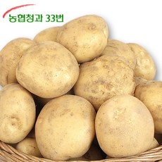 [농협청과33번] 23년 햇감자 3kg (중)-가정실속형쩌먹기 좋은크기, 3kg (중), 1개