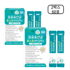 4세대 특허 모유 유래 유산균 bnr17 포스트바이오틱스 락토바실러스 분말 가세리 BNR17 비엔알17 다이어트 LGG 루테리 람노서스 17종 비피도 박테리움 롱검 락티스 식약청, 헬씨허그 모유 유산균 60포(2개월), 2개