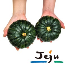 햇살담아팜 제주 미니밤호박 3kg 5kg 10kg, 미니밤호박 10kg (18~27개)