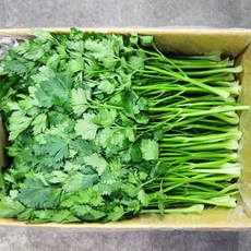 이태리파슬리 300g, 1개