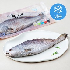 한수위 제주바당 민어 (냉동), 300g, 1개