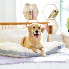 펫테일 올독방석 강아지 방석 애견 쿠션 극세사 면 소중대형견, 면-아이보리
