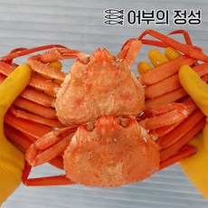 [어부의정성] 경북포항 김민호님의 박달홍게 (중) 400g-500g내외 5미, 자숙홍게