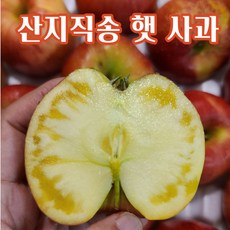 [산지 직송] 햇 부사 사과 새콤 달콤 과즙 팡팡, 가정용 5kg 소꼬마과 (29-33과), 1개