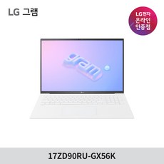 2023 LG전자 그램 대학생 사무용 노트북 17ZD90RU-GX56K, Free DOS, 16GB, 256GB, 코어i5, 스노우화이트