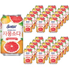 해태htb 썬키스트 자몽소다, 355ml, 48개