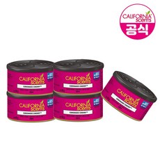 캘리포니아센트 스필프루프 비치형 방향제 코로나도체리향 5입, 42g, 5개, 과일/트로피칼향