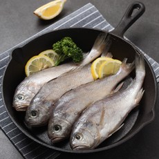 자연산 침 조기 100g x 20미 / 긴가이석태, 1box