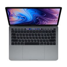 Apple 2019 맥북 프로 터치바 13, 스페이스 그레이, 코어i5 8세대, 인텔 lris Plus 그래픽스 655, 256GB, 16GB, MAC OS, Z0WQ000HN