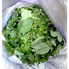 국내산 당일수확 생 비름나물 1kg 400g 신선한 비듬나물, 비름나물 400g, 1개