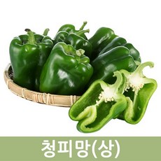 국내산 청피망(상) 10kg 5kg 2kg 싱싱한 피망 두리반농산, 청피망(상) 2kg