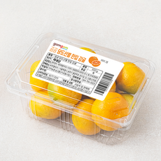 곰곰당도선별한입 감귤, 500g, 1팩
