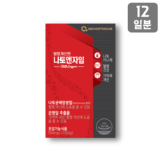 [100원] 나토엔자임 12일분 체험형키트 (혈행개선 기억력개선 나토키나제), 30정