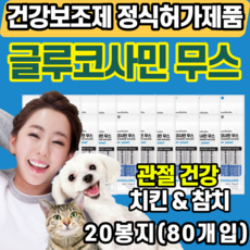 반려견 반려묘 관절 연골 건강 보조제 글루코사민 굴루코사민 무스 무릎대퇴골 절뚝거림 산책 뒷다리 뒤뚱 절둑 슬개골 탈구 인대 노견 치킨 참치 애견 몰티즈 치와와 샤미즈 말티푸 간식, 20봉지(80개), 치킨&참치