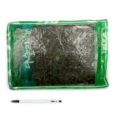 바다더해 냉동 다슬기 700g 깐다슬기 손질다슬기, 단품