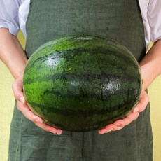 [산지직송] 바른농수산 고당도 수박 꿀수박 정품 당도선별, 꿀수박 정품 5~6kg
