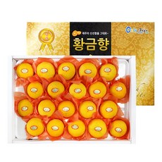 고당도 황금향 선물세트 5kg (18~22과), 단품