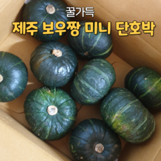 제주 미니 단호박 밤호박 보우짱 5kg 10kg 행사중, 미니 단호박 5kg, 1개