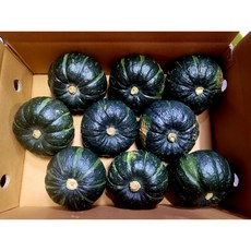[브릭헤븐] 제주 미니 밤호박 보우짱 단호박 1.5kg 2.5kg 4.5kg, 1개