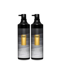 프로 체인지 블랙 샴푸 새치케어 자연갈변 저자극, 300g, 2개