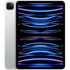 Apple 정품 2022 아이패드 프로 11 4세대 M2칩, 실버, 1TB, Wi-Fi+Cellular